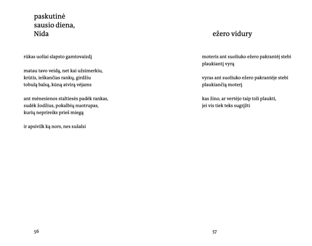 nieko tobulesnio - Julius Keleras, knyga 5