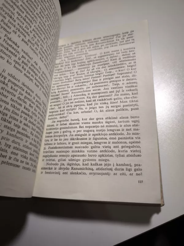 Nusikaltimas ir bausmė - Fiodoras Dostojevskis, knyga 4