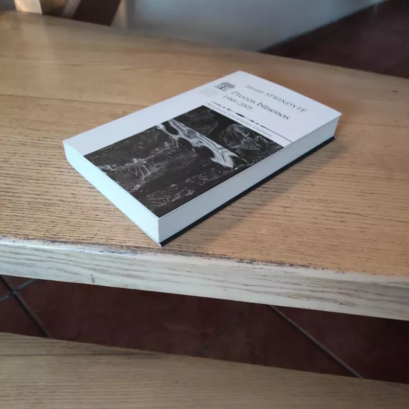 Prozos būsenos 1988-2005 - Jūratė Sprindytė, knyga 4