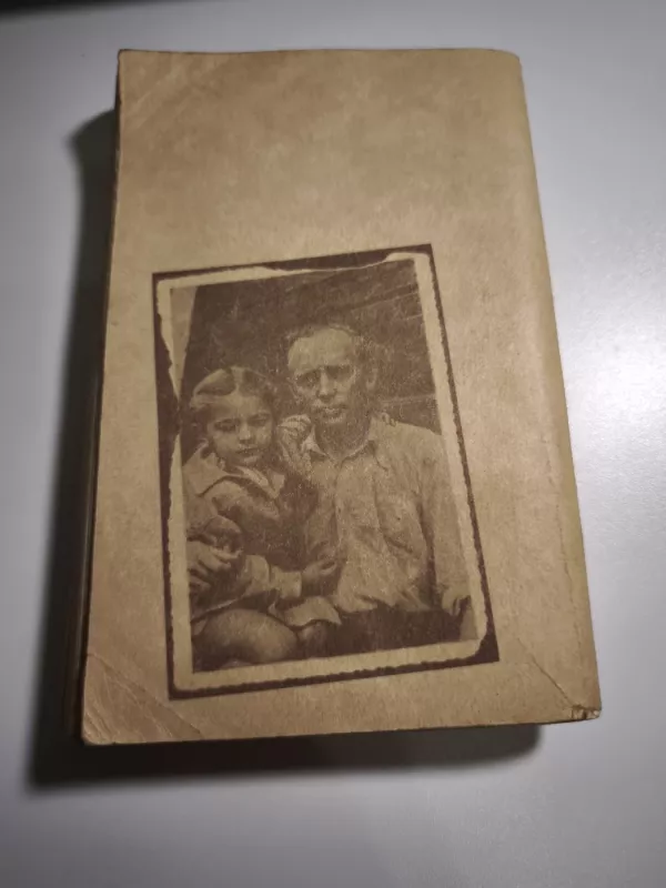 Daugel krito sūnų... - Adolfas Ramanauskas-Vanagas, knyga 5