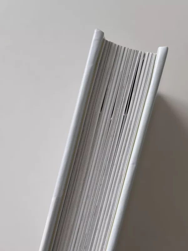 Small homes grand living - Gestalten , knyga 3