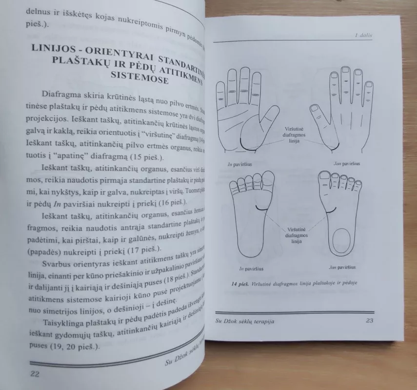 Su Džok sėklų terapija - Autorių Kolektyvas, knyga 6