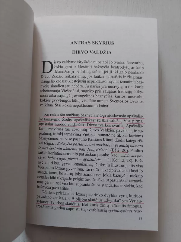 Nepaklusnumo kaina - Maiklas Hovardas, knyga 4