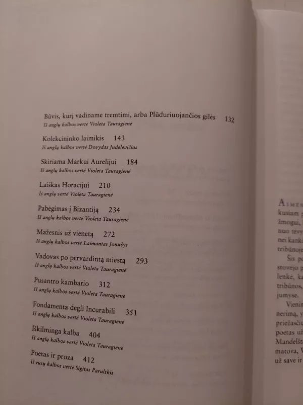 Poetas ir proza. Rinktinės esė - Josif Brodskij, knyga 6