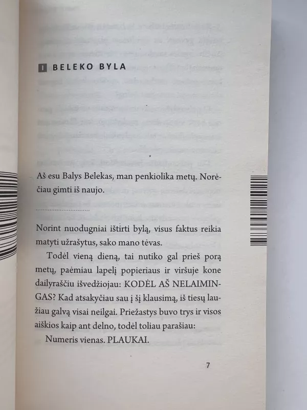 Ir vienąkart Riči - Daina Opolskaitė, knyga 3