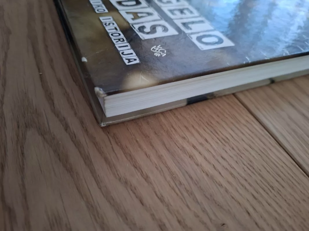 Angelo veidas: mafijos smogiko istorija - Andreas Ulrich, knyga 4