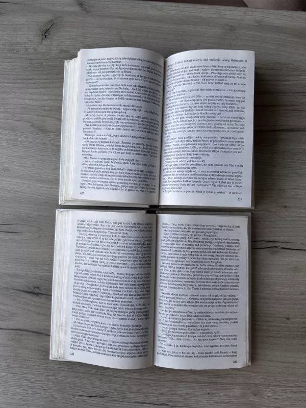 Vėjo nublokšti 1,2 dalys - Margaret Mitčel, knyga 6