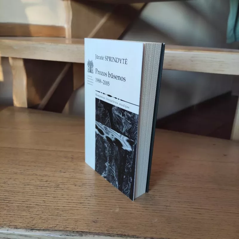 Prozos būsenos 1988-2005 - Jūratė Sprindytė, knyga 6
