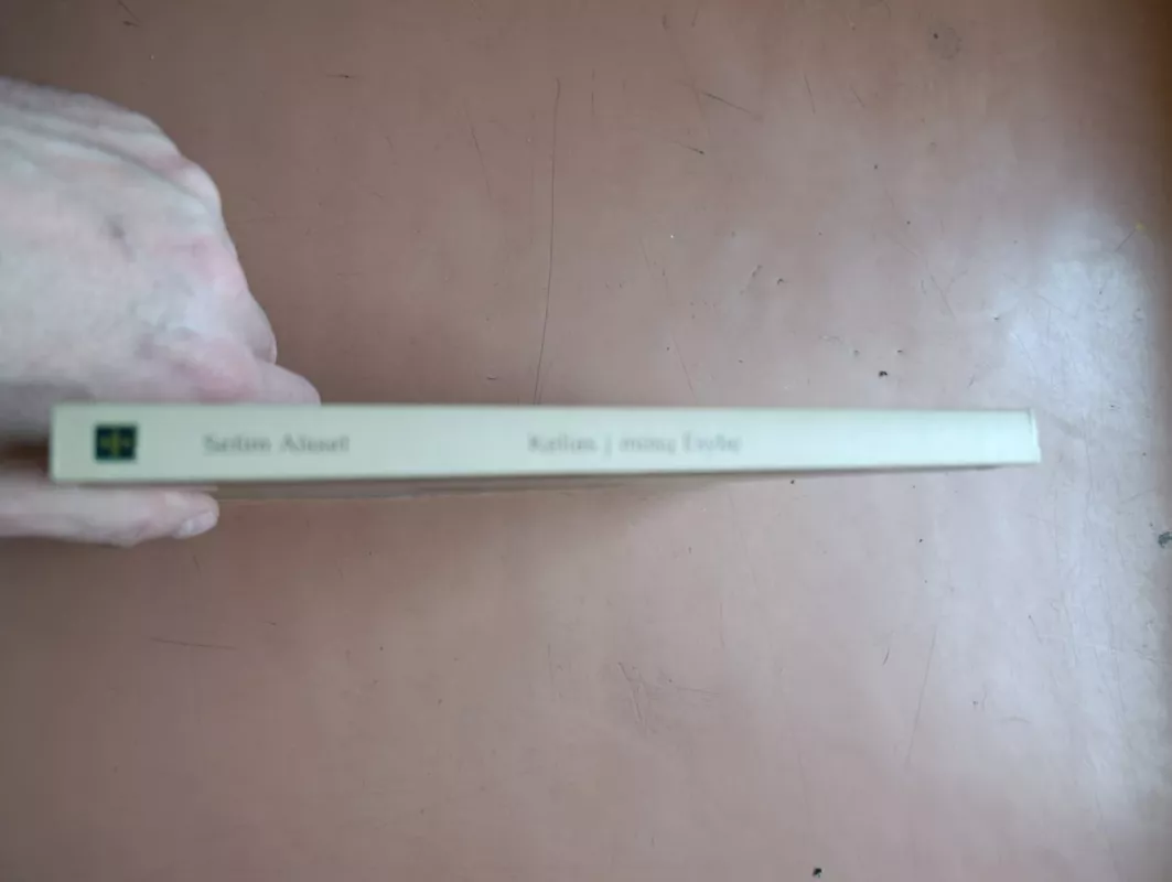 Kelias į mūsų Esybę: praktinis dvasingumas mūsų laikams - Selim Aïssel, knyga 3