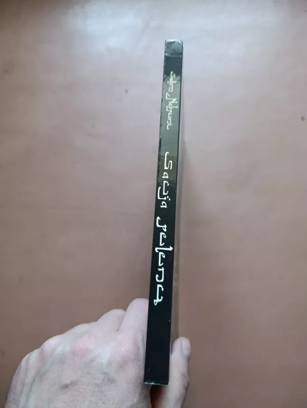 Sauja pelenų - Sadim Nabruni, knyga 3