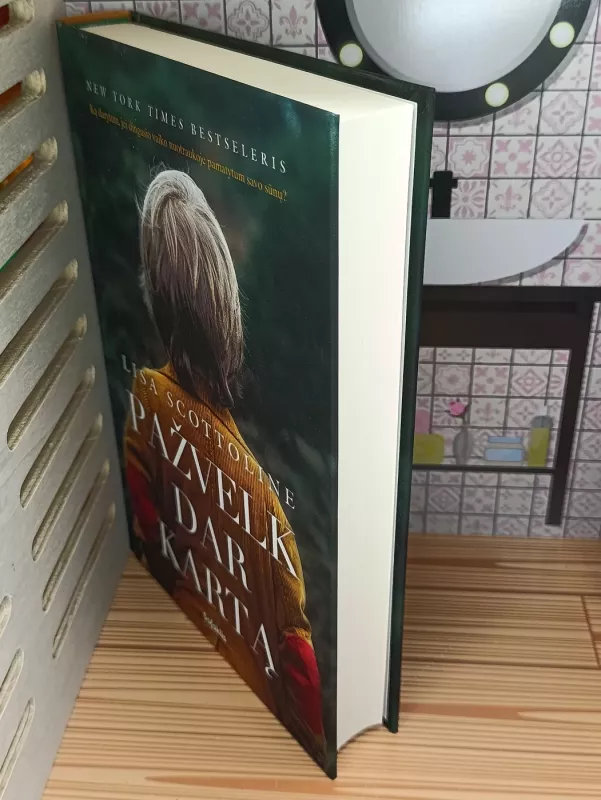 Pažvelk dar kartą - Lisa Scottoline, knyga 3