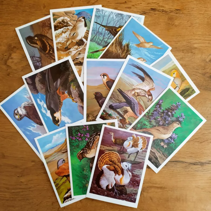 Pticy rossii / Sibir - Autorių kolektyvas (įvairūs), knyga 2