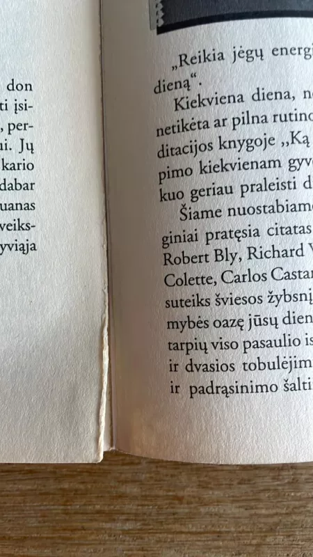 Edgaras Keisas-miegantis pranašas - Stearn Jess, knyga 5