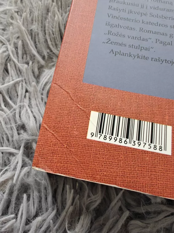 Žemės stulpai - Ken Follett, knyga 3