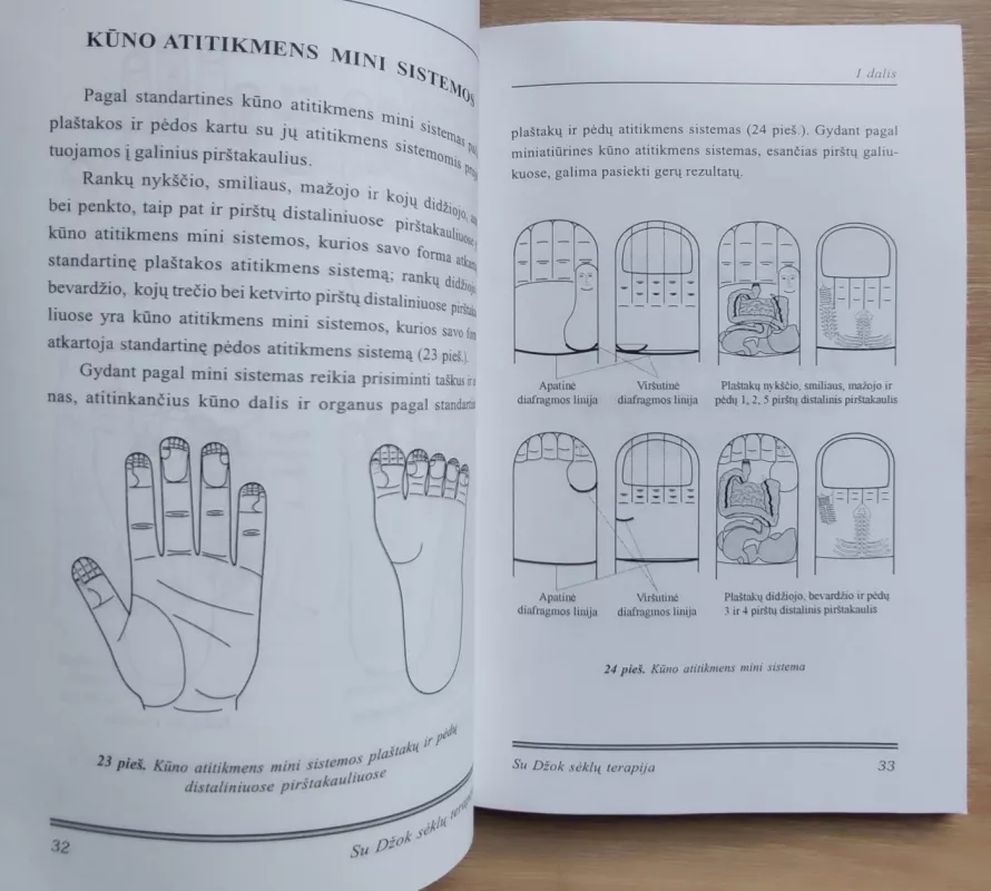 Su Džok sėklų terapija - Autorių Kolektyvas, knyga 5