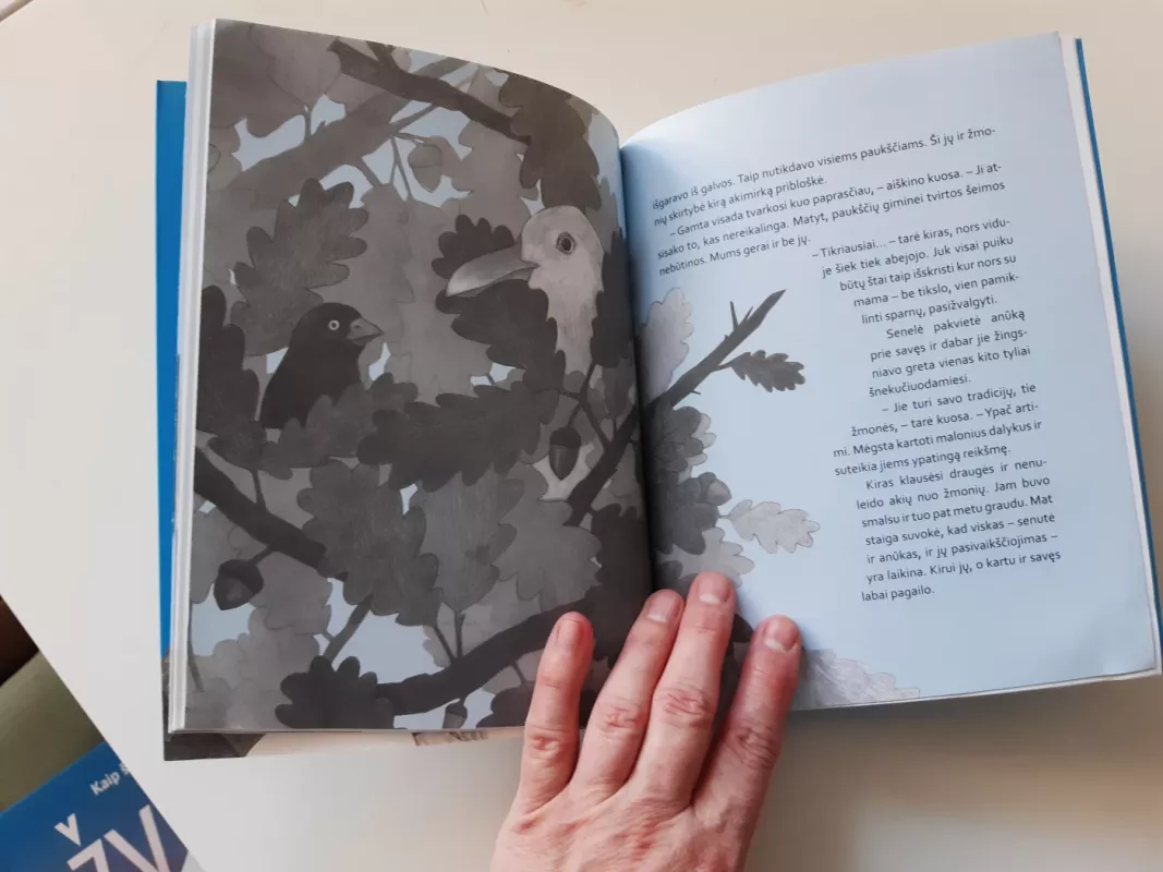 Septyni paukščių įstatymai - Rūta Montvilaitė, knyga 3