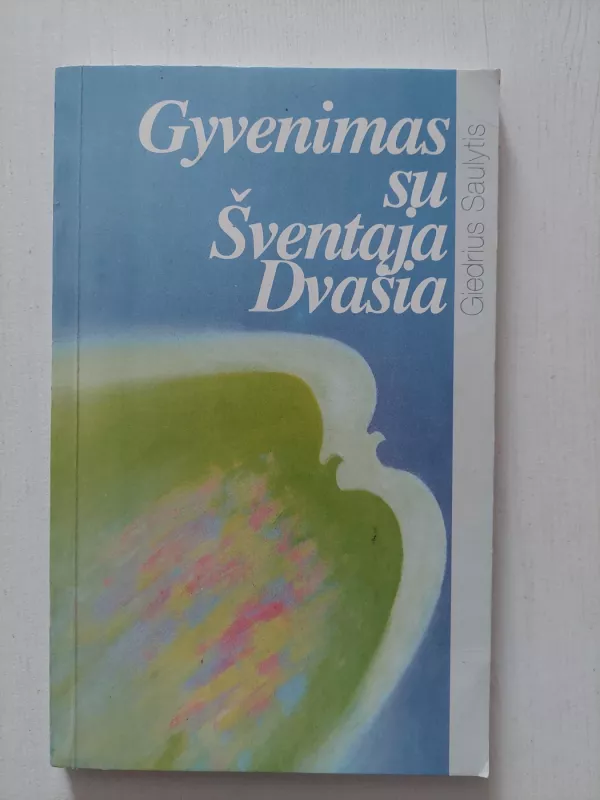 Gyvenimas su šventąja dvasia - Giedrius Saulytis, knyga 2