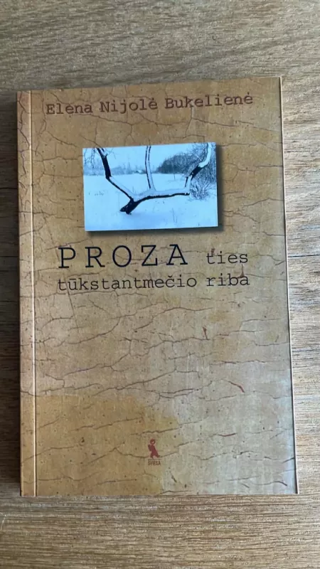 Proza ties tūkstantmečio riba - Elena Nijolė Bukelienė, knyga 2