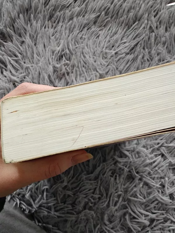 Žemės stulpai - Ken Follett, knyga 4