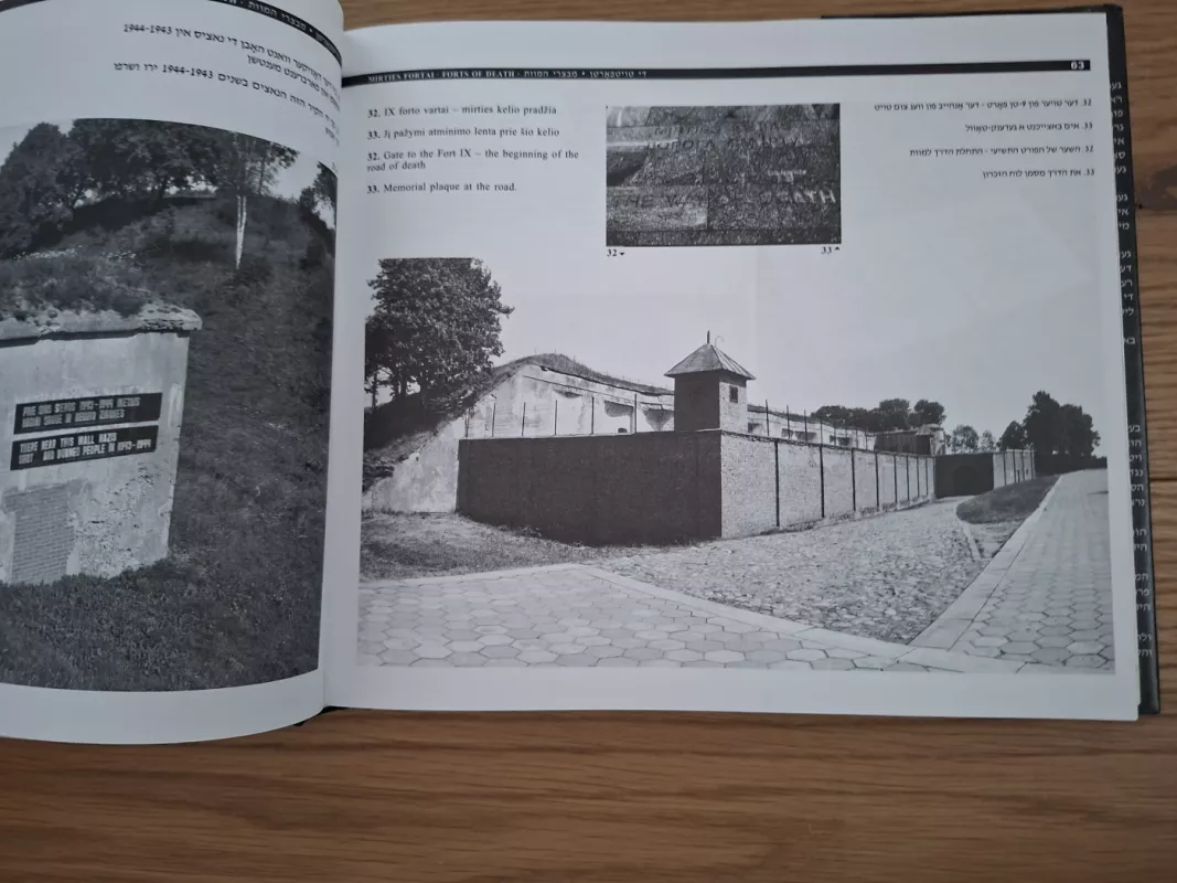 Skausmo knyga - A. Levinsonas, knyga 3