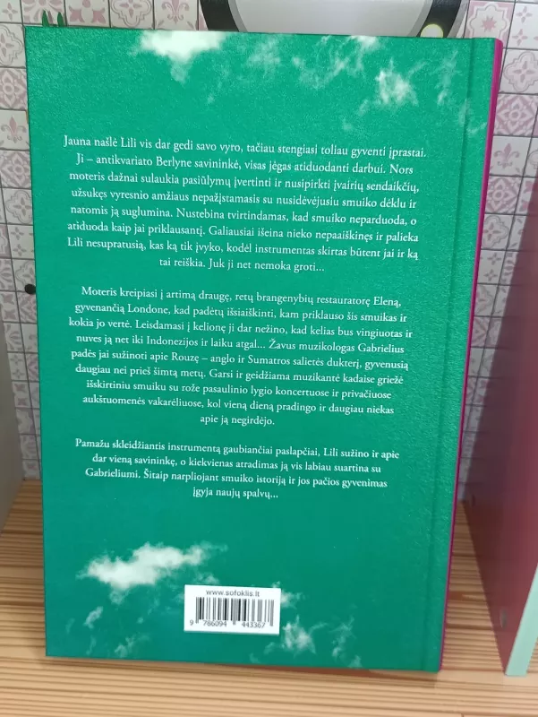 Mėnesienos sodas - Corina Bomann, knyga 4