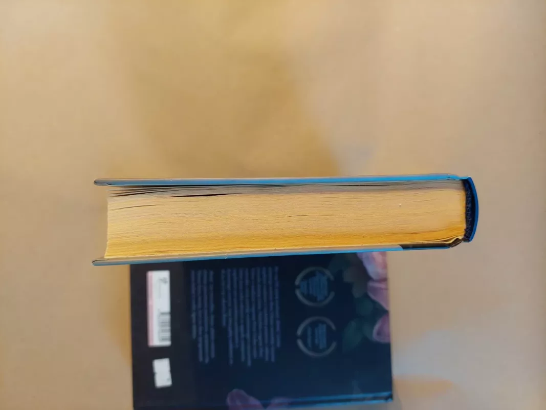 Saros raktas - Tatiana de Rosnay, knyga 4