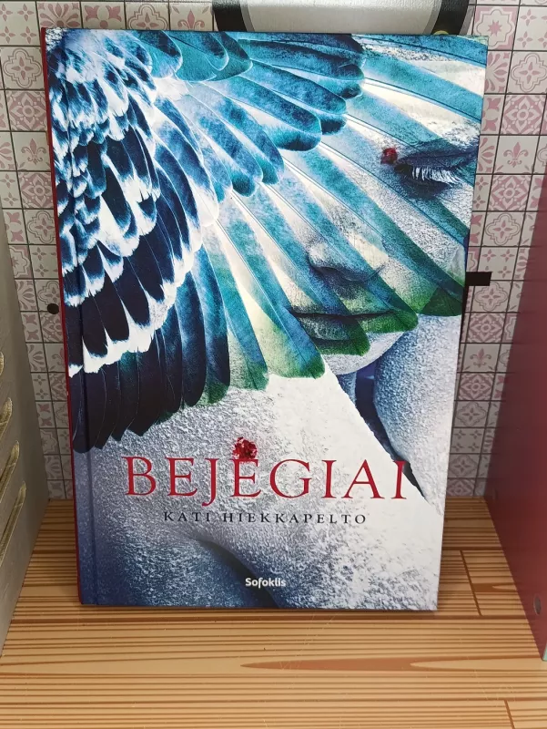 Bejėgiai - Kati Hiekkapelto, knyga 2