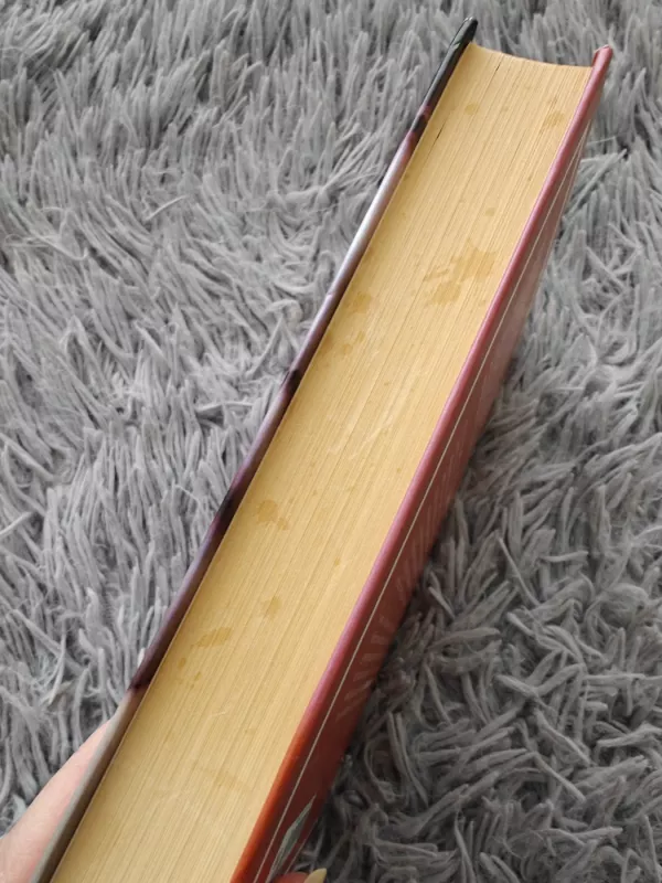 Stebuklingi metai: kaip suprasti ir įveikti ankstyvosios vaikystės sunkumus - Selma H. Fraiberg, knyga 4