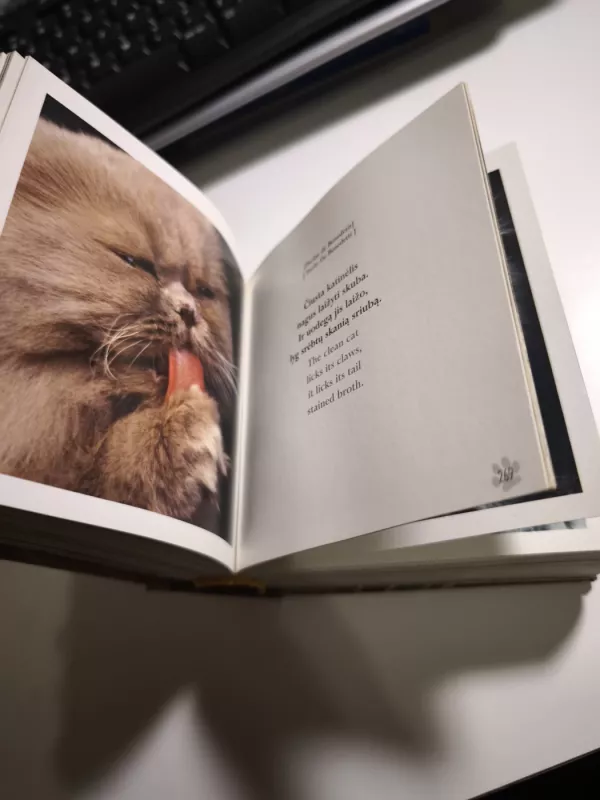 KaTės - Adrianas Bačkela, knyga 5