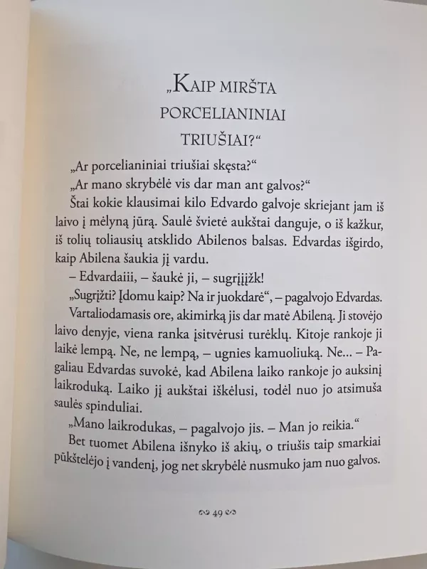 Nepaprasta Edvardo Tiuleino kelionė - Kate DiCamillo, knyga 3