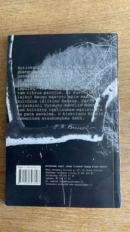 Proza ties tūkstantmečio riba - Elena Nijolė Bukelienė, knyga 6