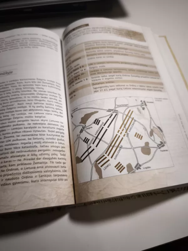Lietuva ir pasaulis - Evaldas Bakonis, knyga 4