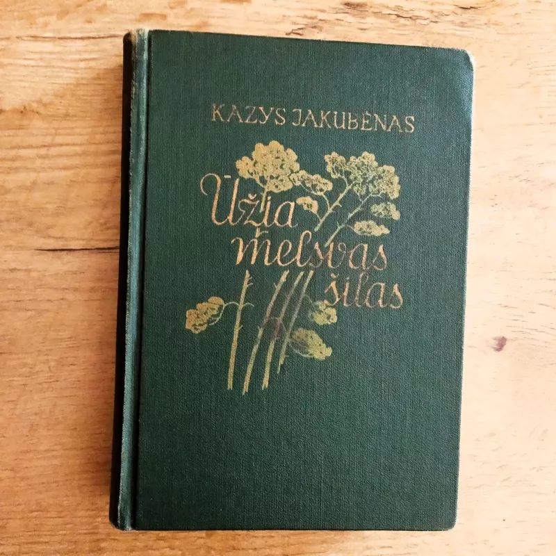 Ūžia melsvas šilas - Kazys Jakubėnas, knyga 3