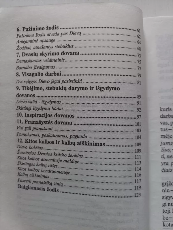 Gyvenimas su šventąja dvasia - Giedrius Saulytis, knyga 6