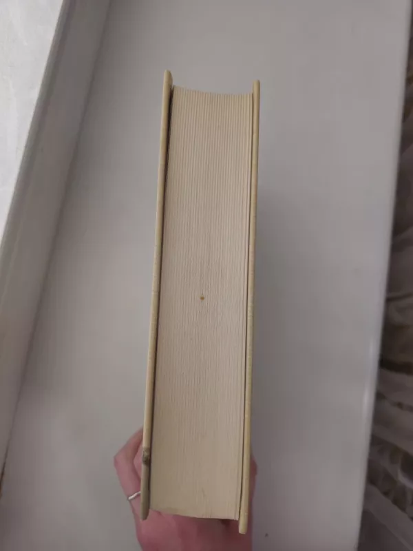 Pažadėtoji žemė - Justinas Marcinkevičius, knyga 4