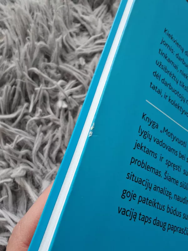 Motyvuoti paprasta - Lina Preikšienė, knyga 3