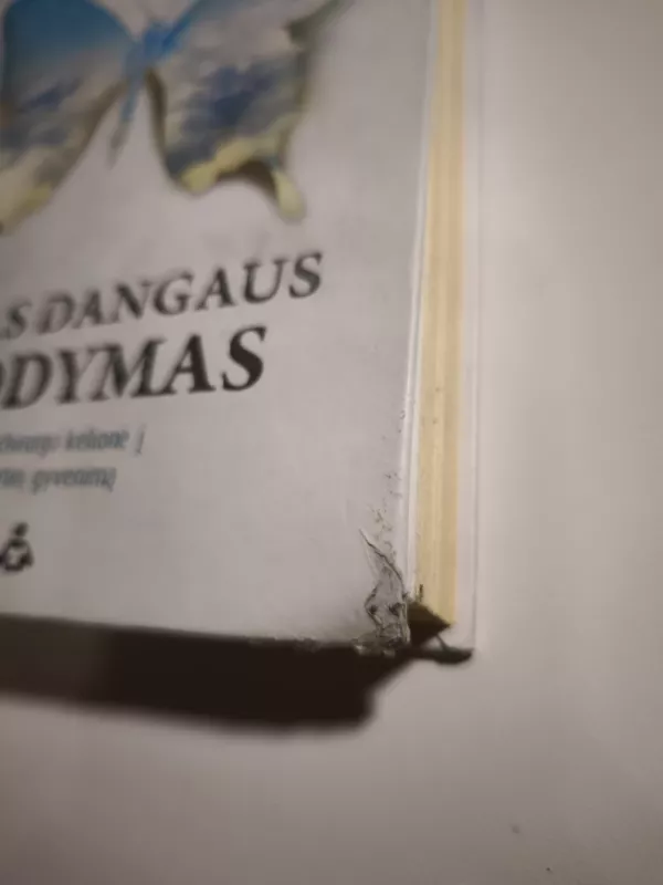 Gyvas dangaus įrodymas - Eben Alexander, knyga 4