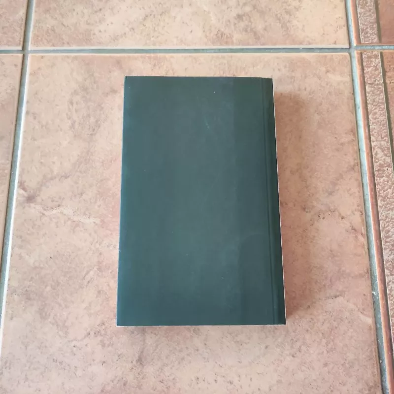 Prozos būsenos 1988-2005 - Jūratė Sprindytė, knyga 3