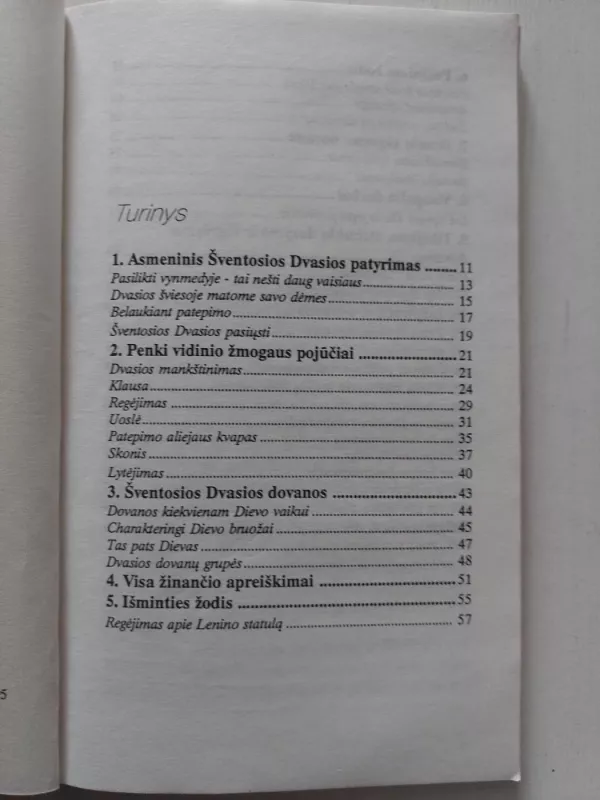 Gyvenimas su šventąja dvasia - Giedrius Saulytis, knyga 5