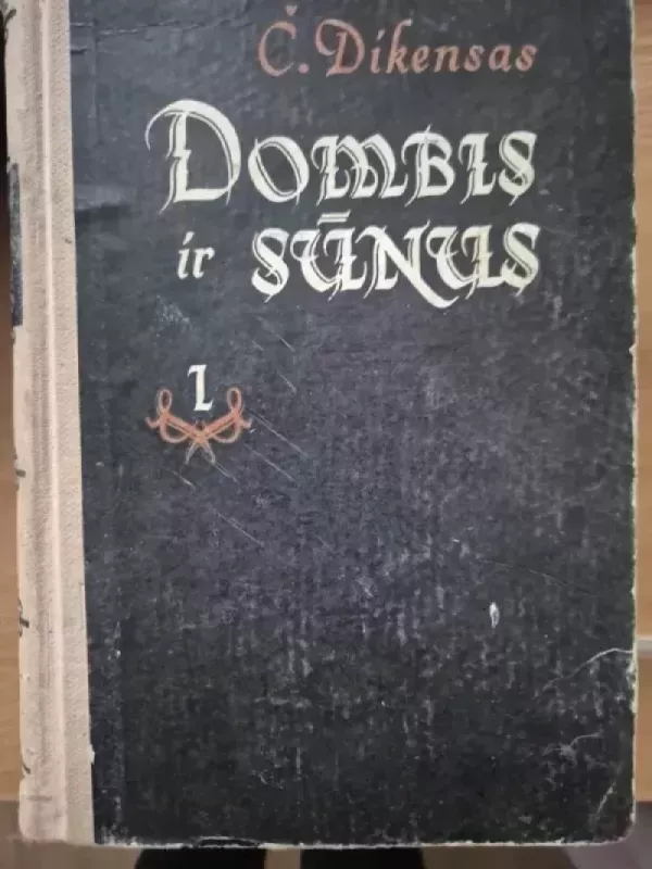 Dombis ir sūnus - Dikensas Čarlzas, knyga 2