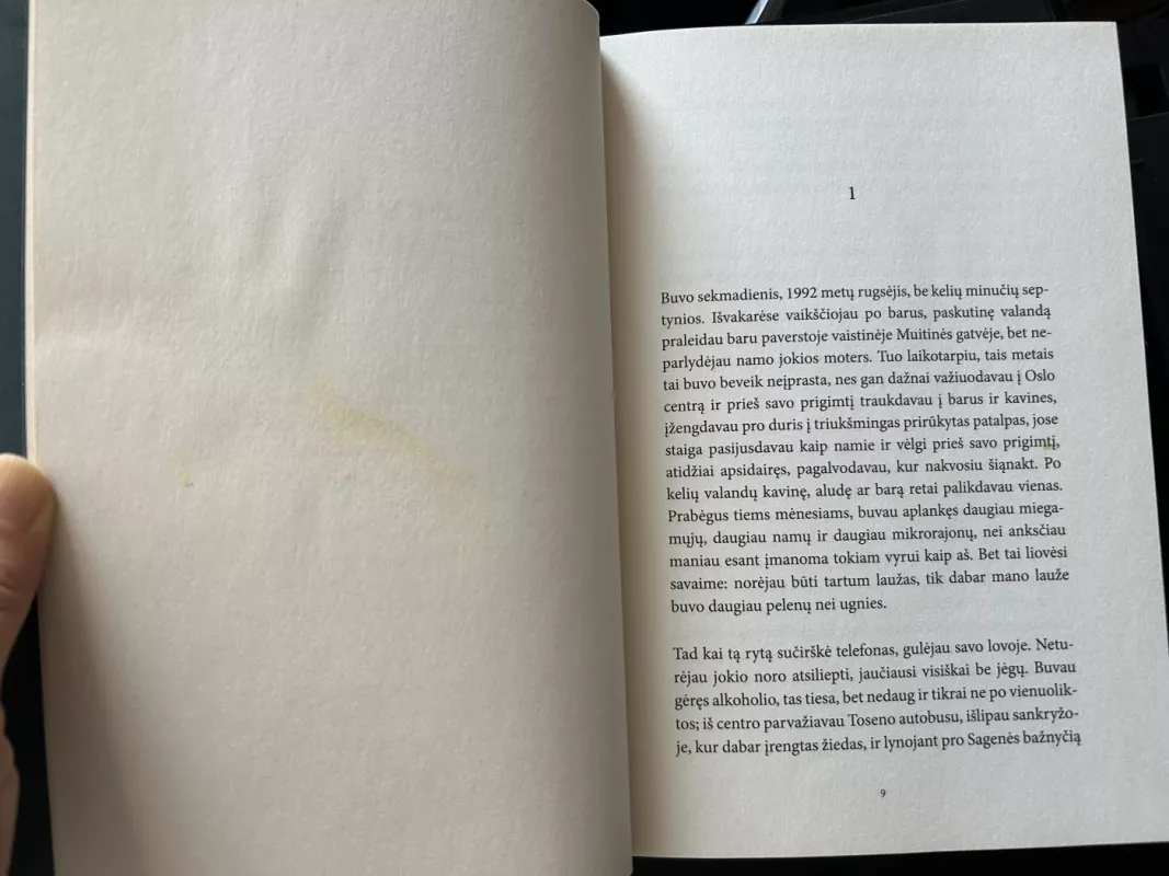 Mano likimo broliai - Per Petterson, knyga 6