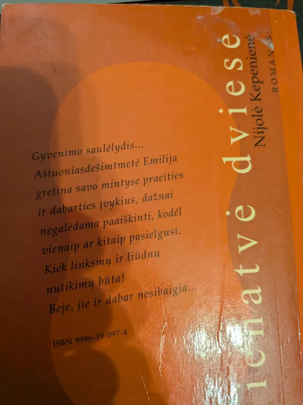 Vienatvė dviese - Nijolė Kepenienė, knyga 2