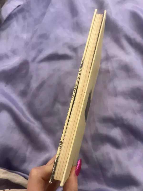 Bažnyčios praeitis - A. Vaitiekaitis, knyga 5