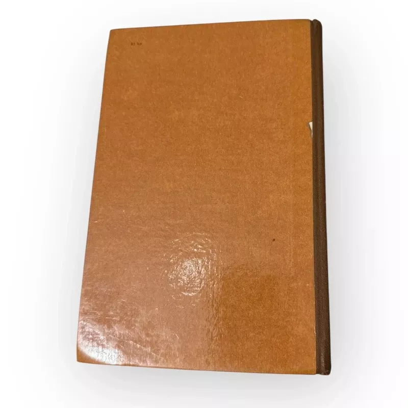 Laukinės gulbės - Hansas Kristianas Andersenas, knyga 3