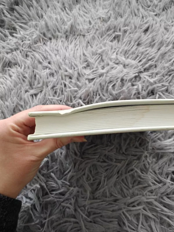 Nuotolinio mokymosi dėstytojo vadovas - D. Rutkauskienė, ir kiti , knyga 4