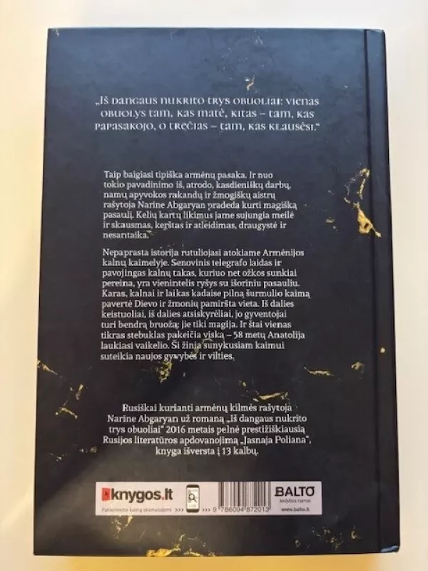 Iš dangaus nukrito trys obuoliai - Narine Abgaryan, knyga 3