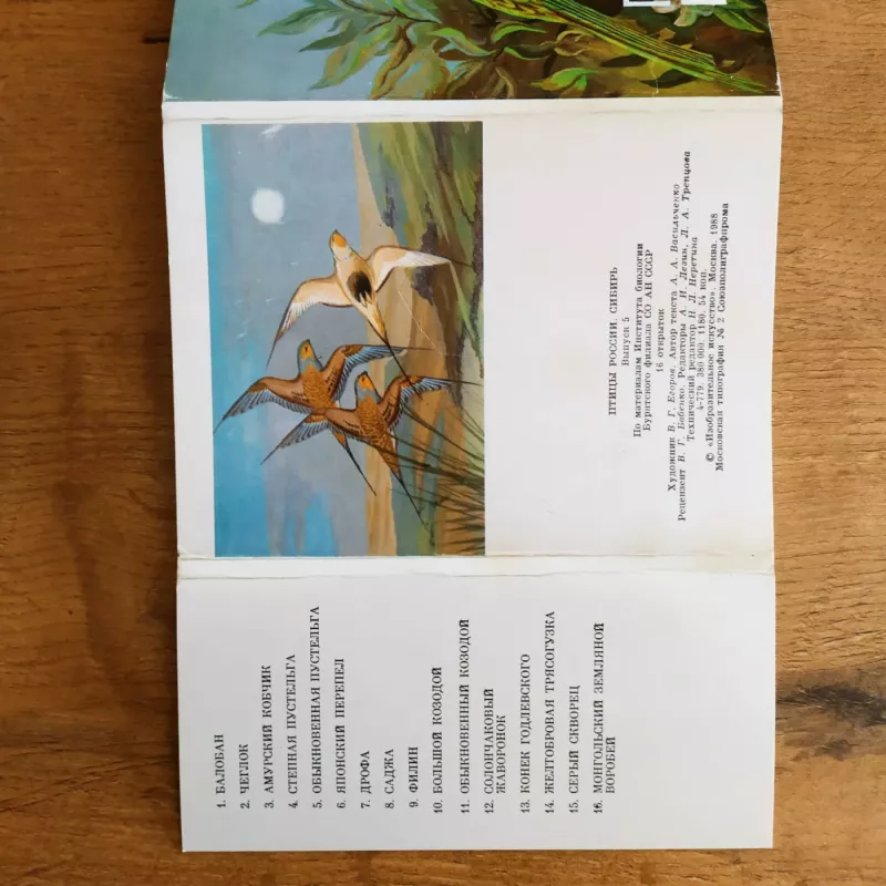 Pticy rossii / Sibir - Autorių kolektyvas (įvairūs), knyga 4