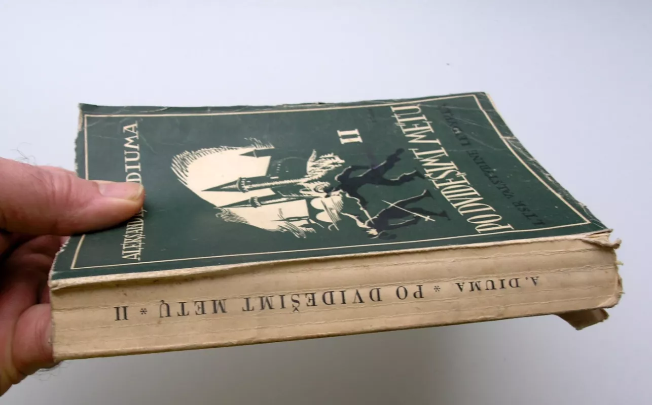 Po dvidešimt metų - Aleksandras Diuma, knyga 5