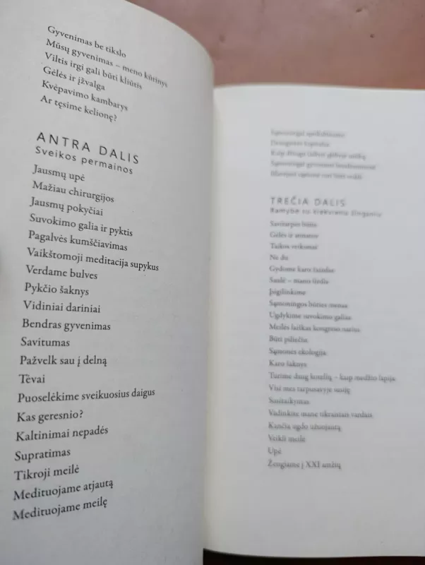 Ramybė su kiekvienu žingsniu - Thich Nhat Han, knyga 6