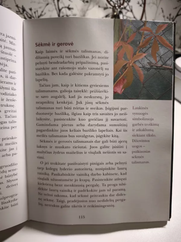 Talismanai ir amuletai - Maria Leondin, knyga 4